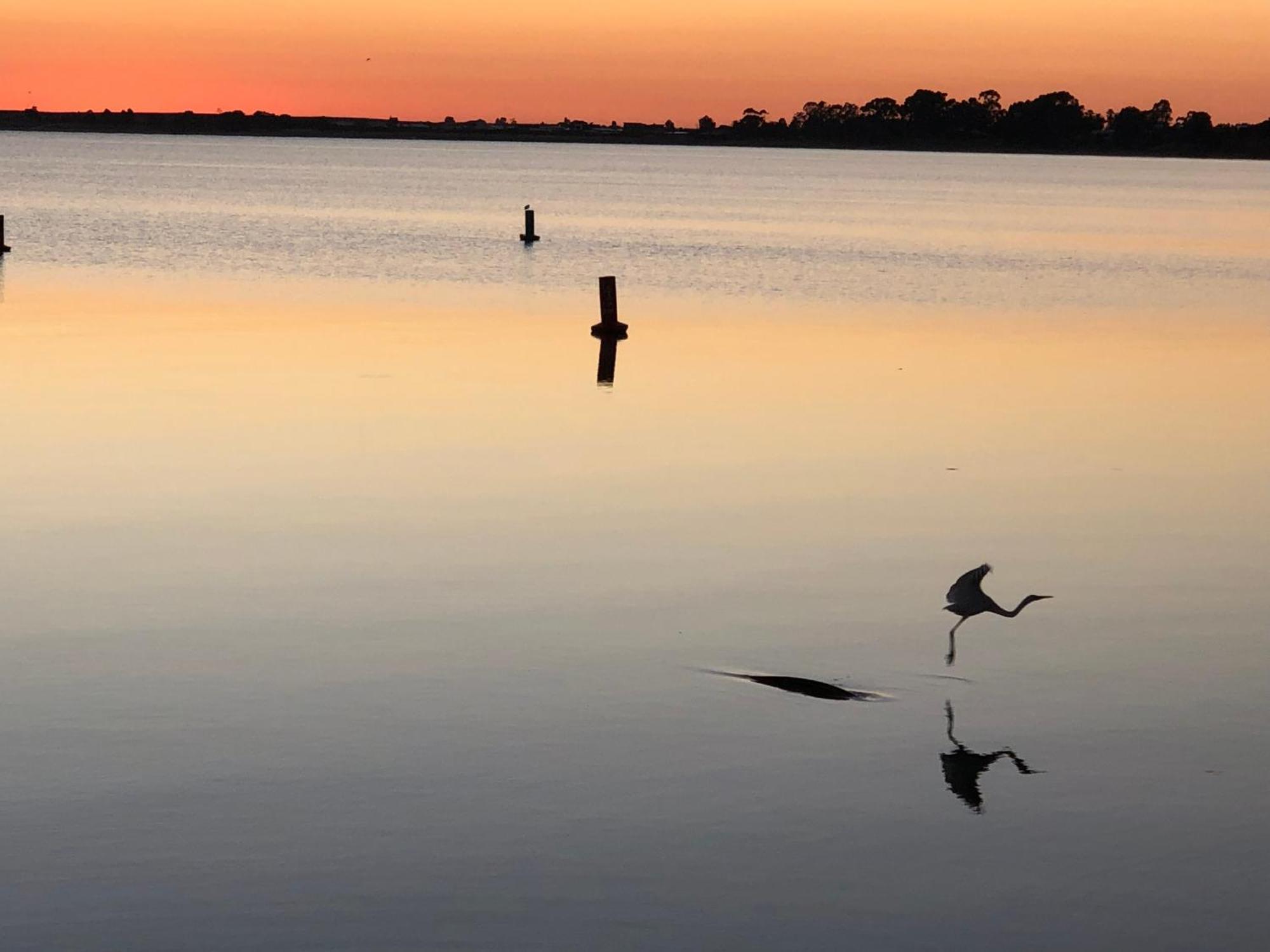 Lake Boga Caravan Park ภายนอก รูปภาพ